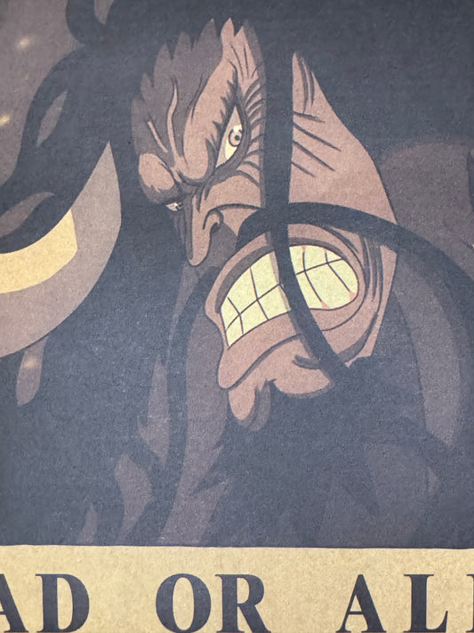 (Mirai Outlet) Poster One Piece - Kaido | Wanted